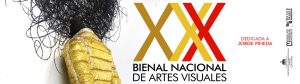 bienal-nacional-de-artes-visuales-2023