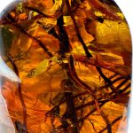 El Museo Mundo del Ambar - La Trayectoria de una Institución Comprometida con la Comunidad y la Ciencia 4 La Trayectoria de una Institucion Comprometida con la Comunidad y la Ciencia 3