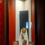 El Museo Mundo del Ambar - La Trayectoria de una Institución Comprometida con la Comunidad y la Ciencia 2 La Trayectoria de una Institucion Comprometida con la Comunidad y la Ciencia 5