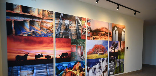 Centro Cultural Banreservas en Santiago